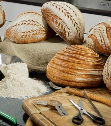 Bread Scoring - Bread Carving - Online-Kurs